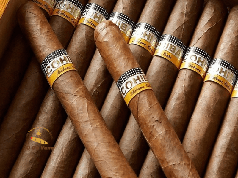 Bạn có biết tên các điếu xì gà Cuba thường gọi trong nhà máy là gì không